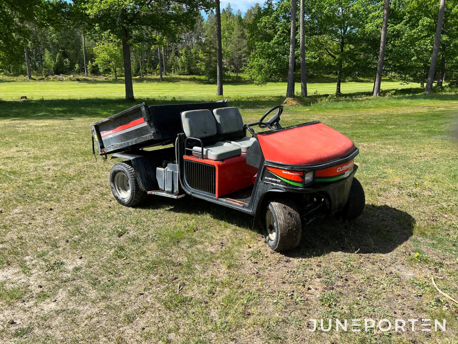 Arbetsfordon Cushman Textron Turf-Truckster