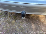 Mercedes-Benz C 220 T CDI Classic Euro