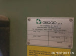 Rikthyvel Griggio