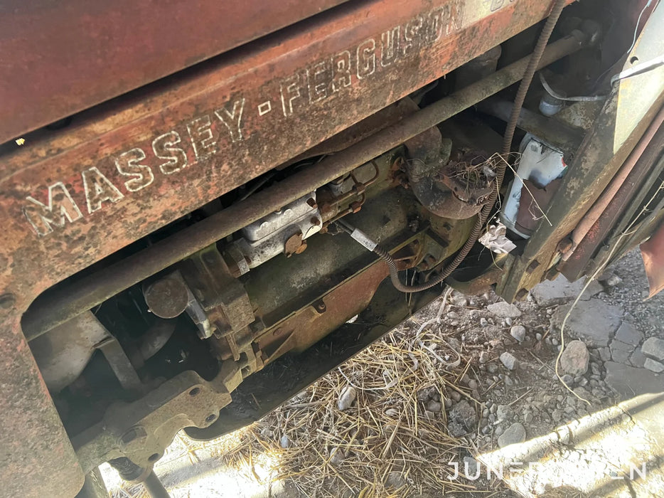 Veterantraktor Massey Ferguson 65 Passiv