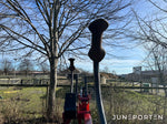 Kultivator Kongskilde Vibro Flex 4300