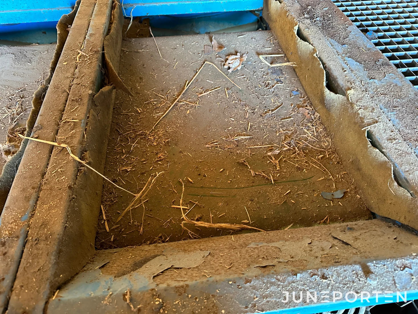 Potatissättare för färskpotatis